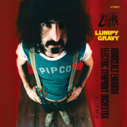 Frank Zappa Enjoyer