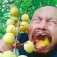 我有独立自由症，不做奴隶地球人