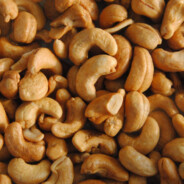 cashew