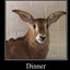 Galactic.Donkey
