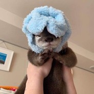 Snoxy