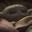 Baby Yoda ︻芫=-----