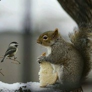 frozensquirrelnuts - steam id 76561197964428381