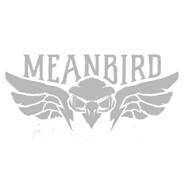 MeanBirdMelody