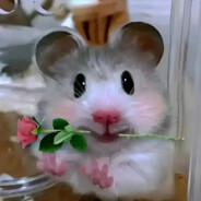 鼠鼠队友，马枪能力没人能和他相比