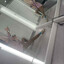 Qndz!u