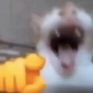 猫meme第一突破手嘲笑猫