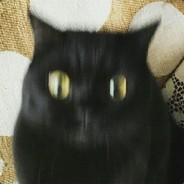 快活林的朋友们