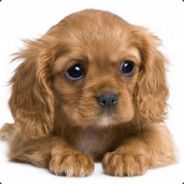Dogberry - steam id 76561197964254795