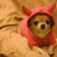 Marmalade's Avatar