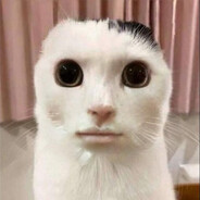 Sweakh avatar