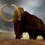 EPIC MAMMOTH