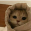❤ебанутый❤кот❤