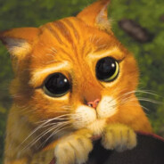 qq b9 <3