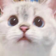 艾诗莉的小匕首