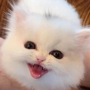 mrnvvaa - steam id 76561199135135887