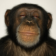 donker17 - steam id 76561199198385569