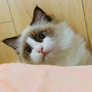 脾气脏  不好哐