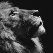 The Lion
