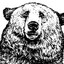 Dan Bear 513