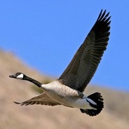 一二三四四三二一