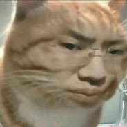 手语少女给我导算口吗