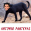 Antonio_Panteras