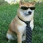 scubsthedoge