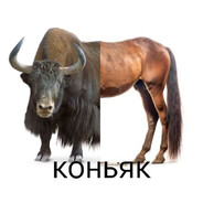 psychokines1s avatar