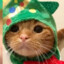 Bing_Chillling_