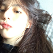 개를 무는 고양이