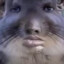 Leha Gerb ♂
