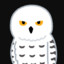 WhiteOwl