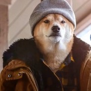 你在教我打枪啊