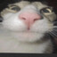 JonasGMD