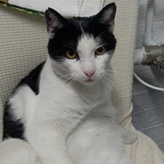 𝚂𝚔𝚢𝚉 | vanejkeee