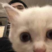 乒乓小子就是我