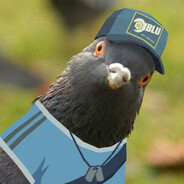 golluubb avatar
