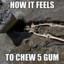 HowItFeelsToChewFiveGum