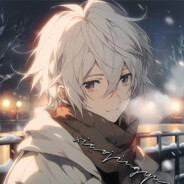 使用诡辩论的猫