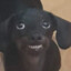 Jairinho
