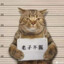 迈克尔杰克●僧
