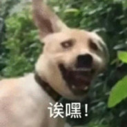 田野汰朗