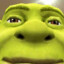 shrek