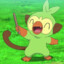 Grookey