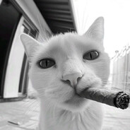 фарту масти