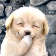 香蕉你个不拿拿