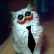 Joker'sCat