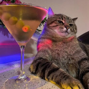 cat - steam id 76561198825998529
