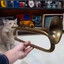Cat Playing A Trumpet